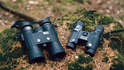 Jumelle Wildlife 10,5x28, Steiner