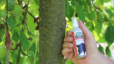 Urine synthétique pour grand gibier