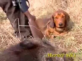 Chargeur Merkel SR1, Merkel