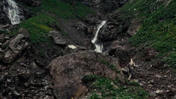 Carabine 600 Ergo Synthétique, CZ