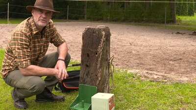 Support pour bloc de sel