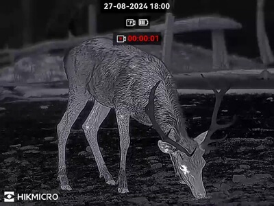 Lun thermique Hikmicro Thunder TQ35C 3.0, Hikmicro