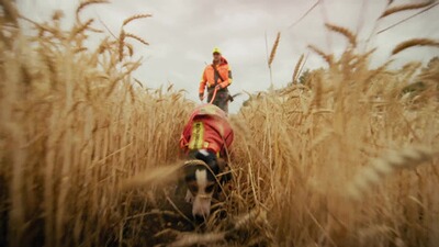 Pantalon de protection Waterproof Hatz-Watz, Parforce