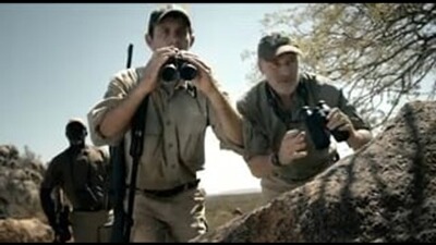 Lunette de visée HT 3-12x56 ASV+, ZEISS