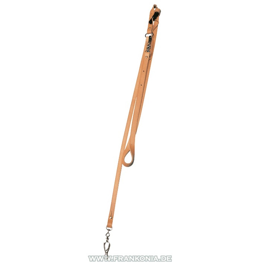 Laisse (2,75m, 18mm)
