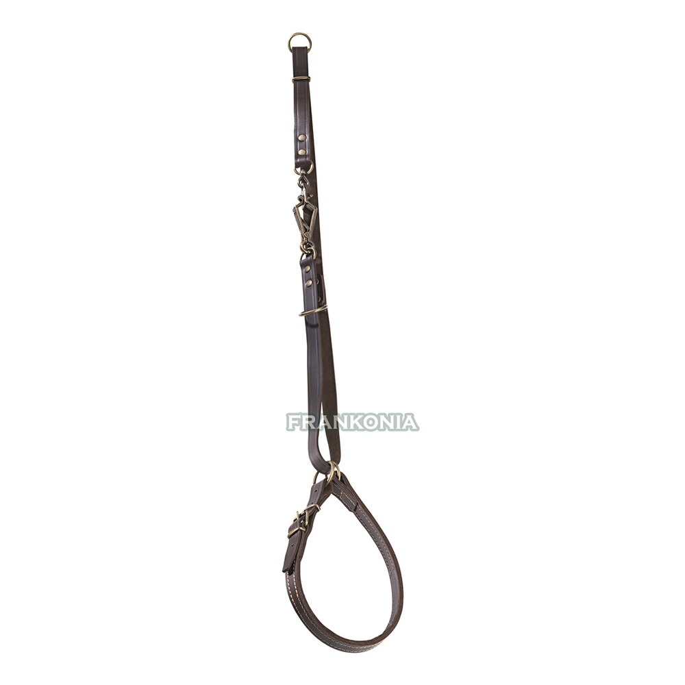 Laisse de conduite, avec collier normal 13mm/65cm