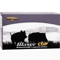 9,3x74 R, CDP (18,5gr), Blaser