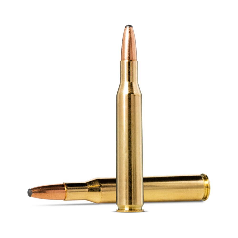 .270 Win. Soft Point 8,4g/130grs.
