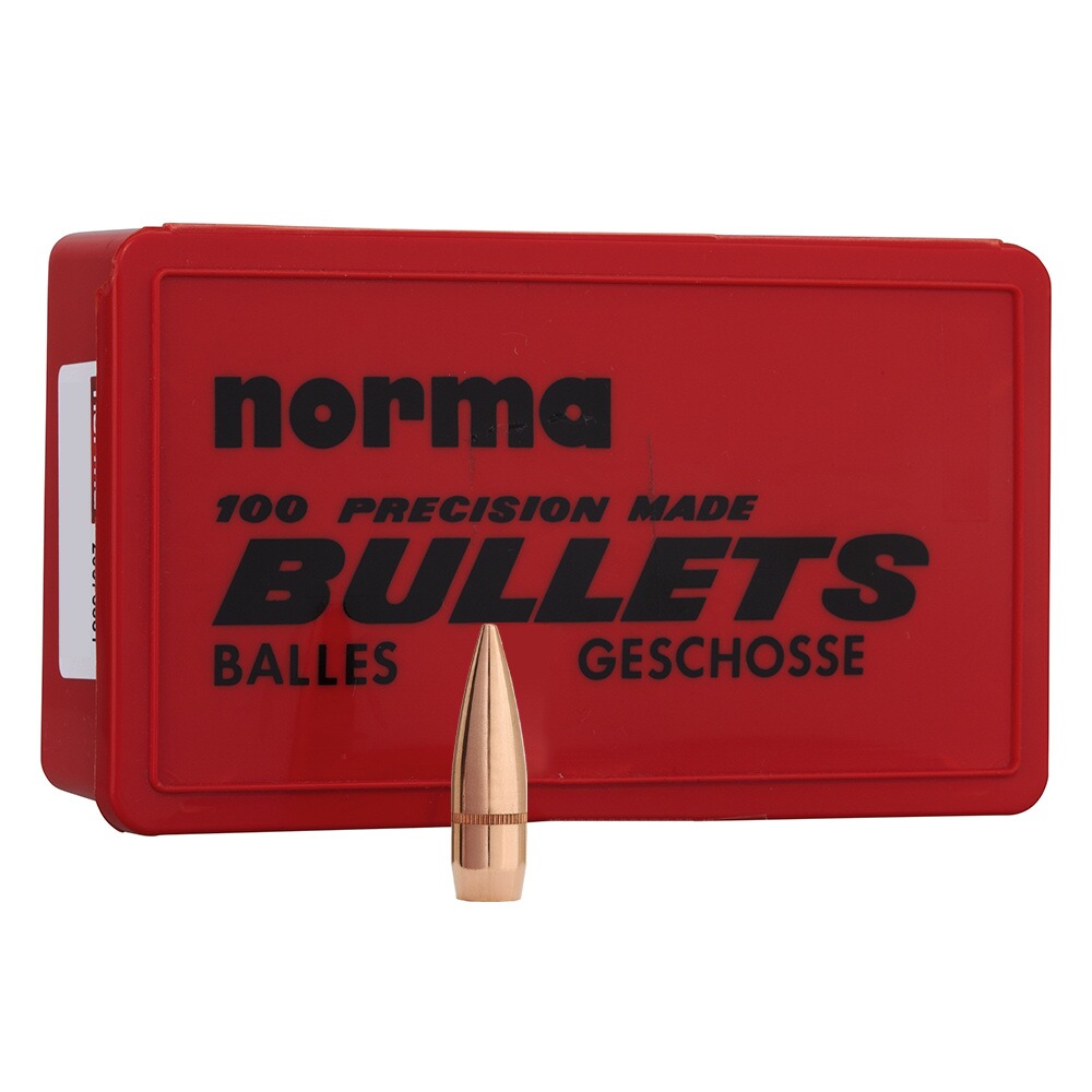 .308 (.30) 146 grs. FMJ BT
