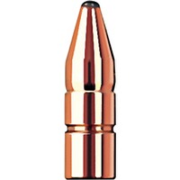 .308 10,7g/165grs. DK, RWS