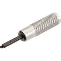 Expulseur, Davide Pedersoli