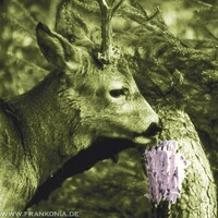 Pâte de sel arôme anis 2kg