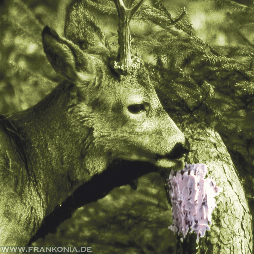 Pâte de sel neutre 2kg