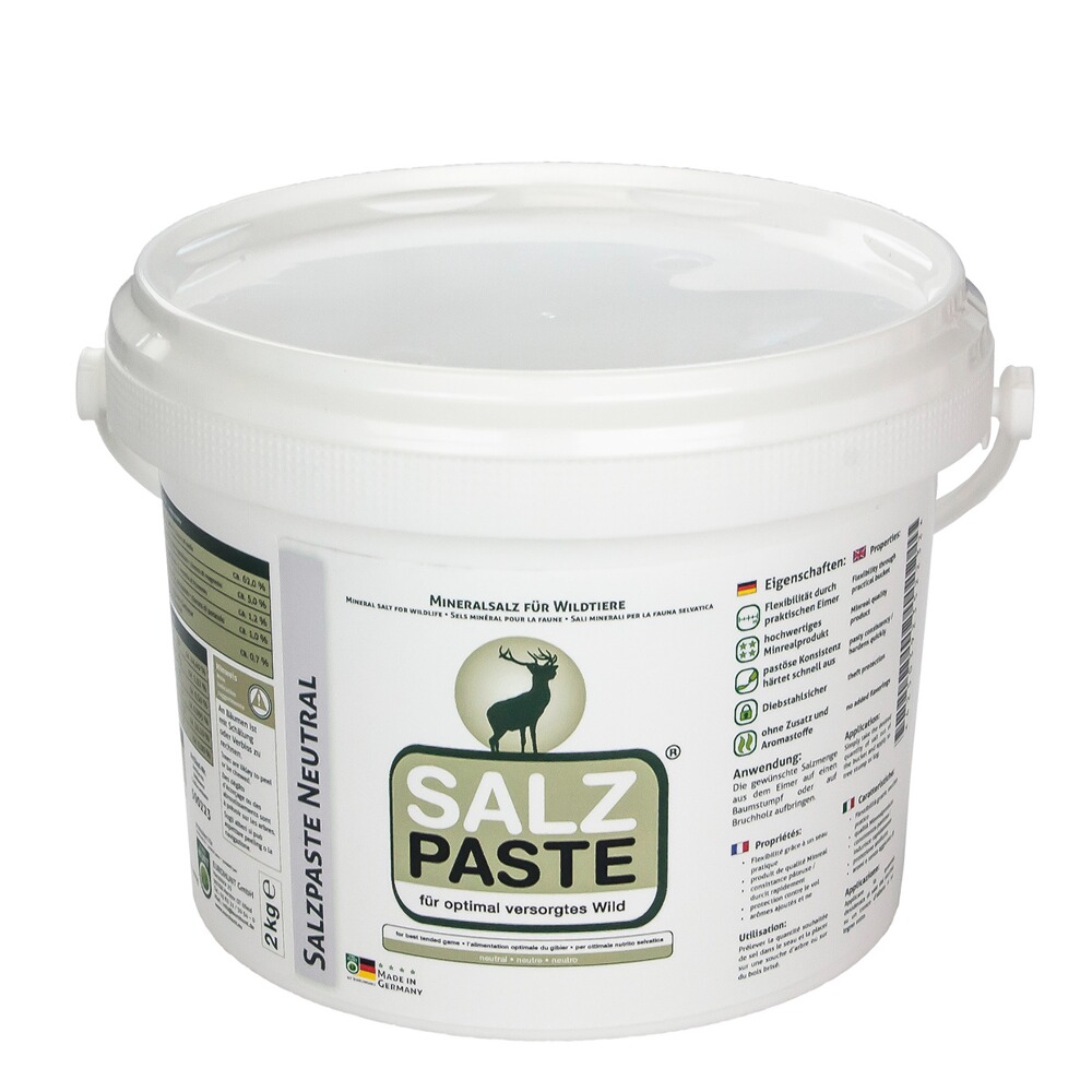 Pâte de sel neutre 2kg