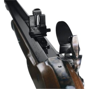 Fusil à poudre noire de match Suisse , Davide Pedersoli