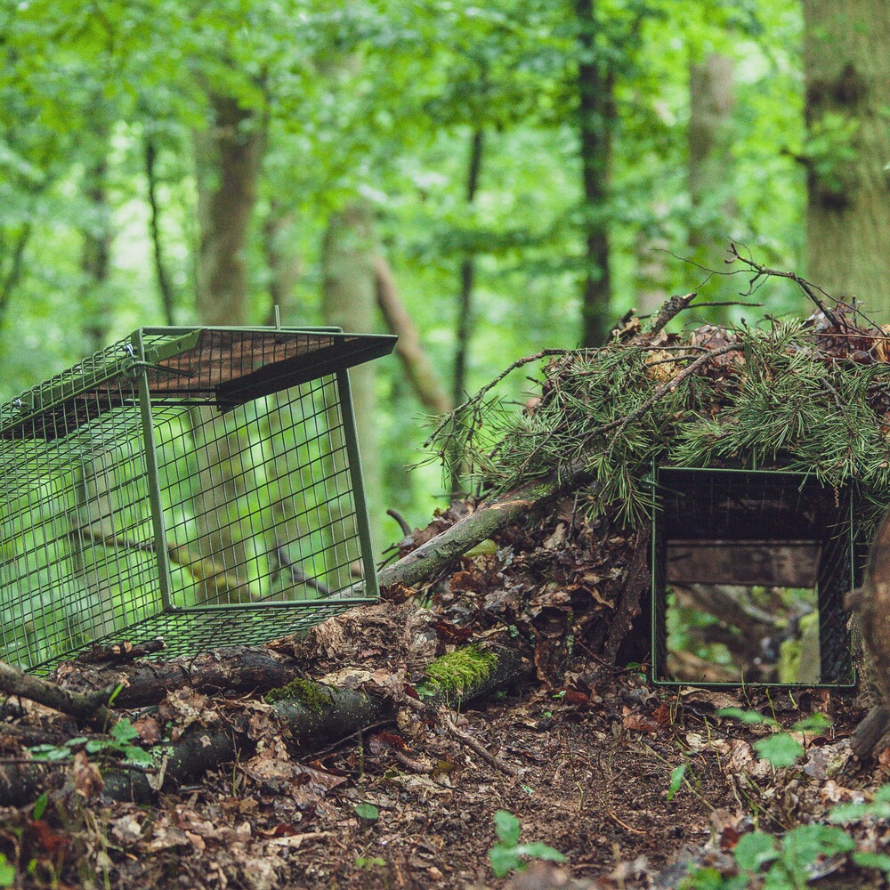 Chatières 103x28x32cm