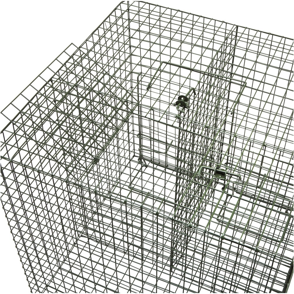 Piège à attraper vivant