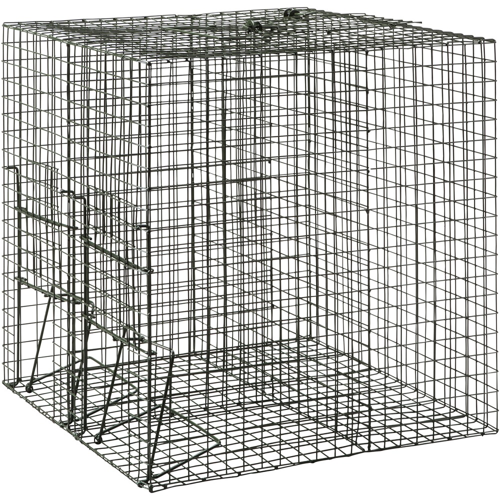 Piège à attraper vivant