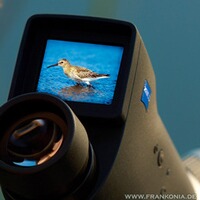 Caméra oculaire DC4, ZEISS