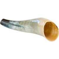 Appeau cerf en corne de boeuf, Weisskirchen