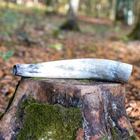 Appeau cerf en corne de boeuf, Weisskirchen