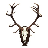 Plaque trophée cerf 43x27cm, Wald & Forst