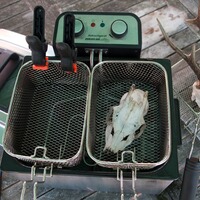 Dispositif pour faire bouillir les trophées, Knobloch