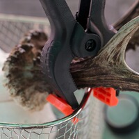 Dispositif pour faire bouillir les trophées, Knobloch