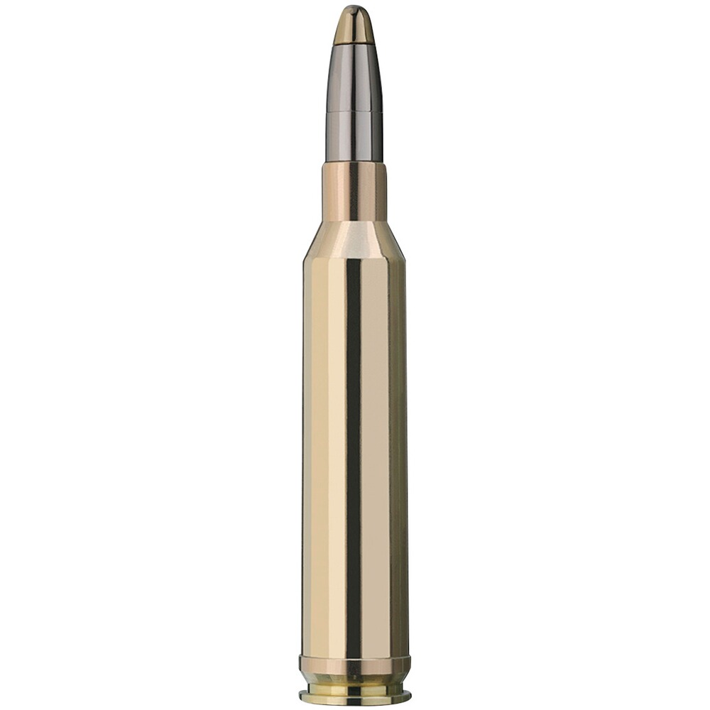 7 mm Rem. Mag. Evolution 10,3g/159grs., RWS