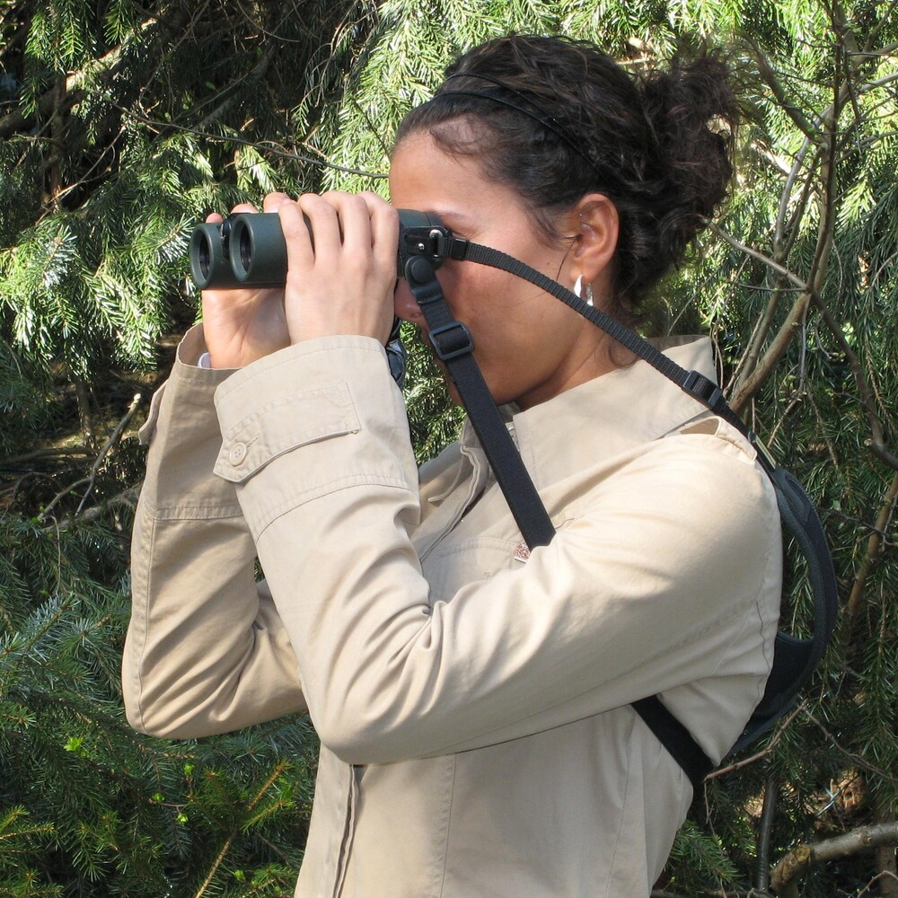 Bretelle pour jumelles Sport, Niggeloh