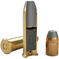 .38 Spec.+P, SJSP-Flat (8,1gr), Magtech