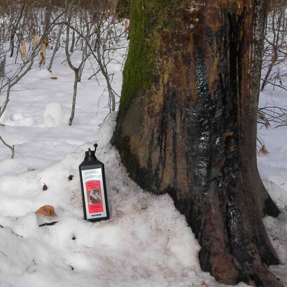 Goudron végétal Pherotar Plus, Hagopur