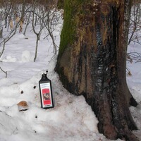 Goudron végétal Pherotar Plus, Hagopur