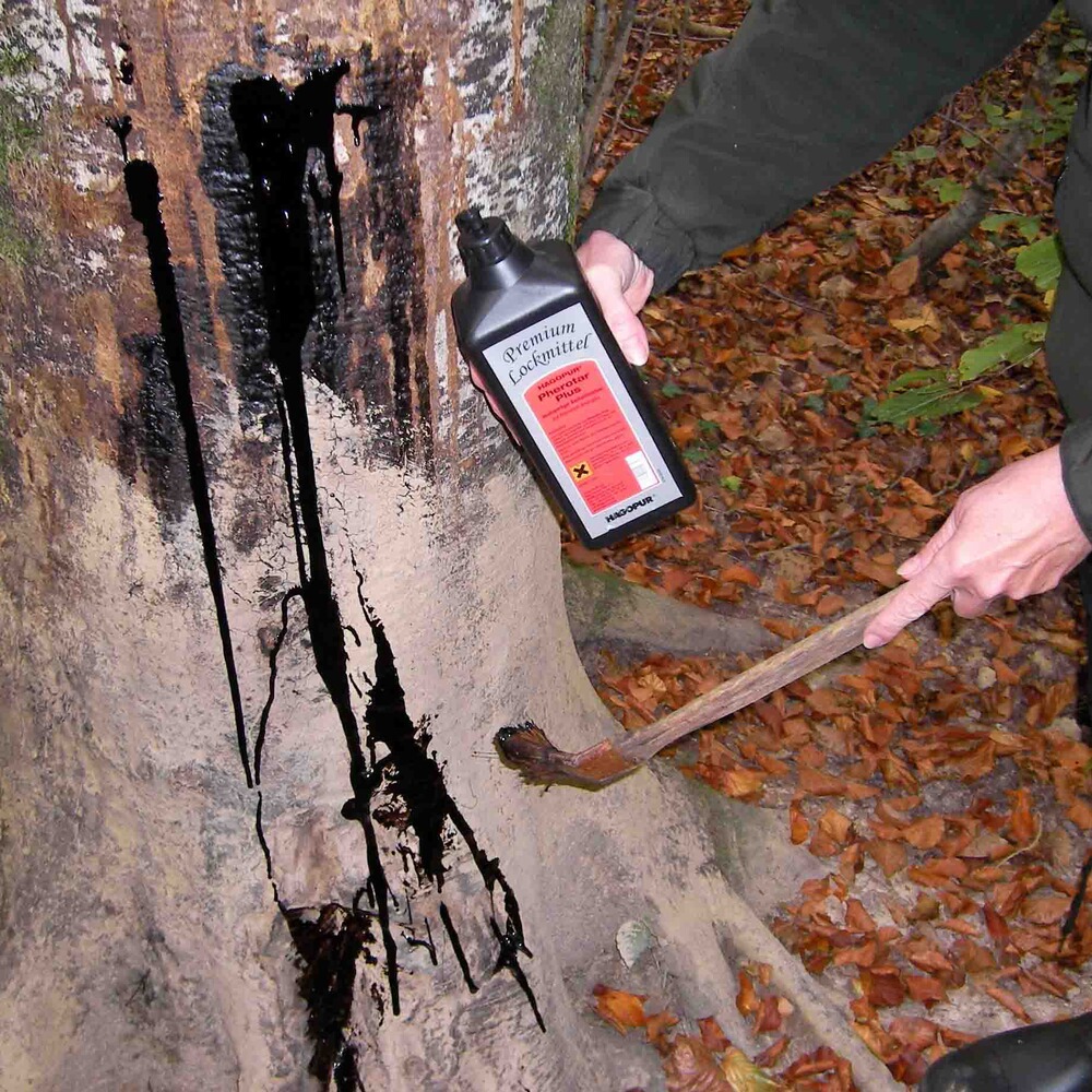 Goudron végétal Pherotar Plus, Hagopur