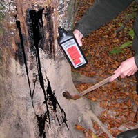 Goudron végétal Pherotar Plus, Hagopur