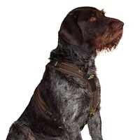 Harnais pour chien, Niggeloh