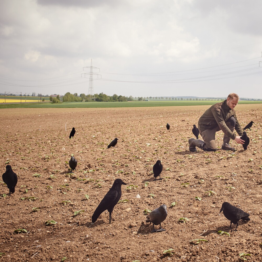 Appelant corbeau floqué 42cm