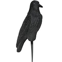 Appelant corbeau floqué 42cm