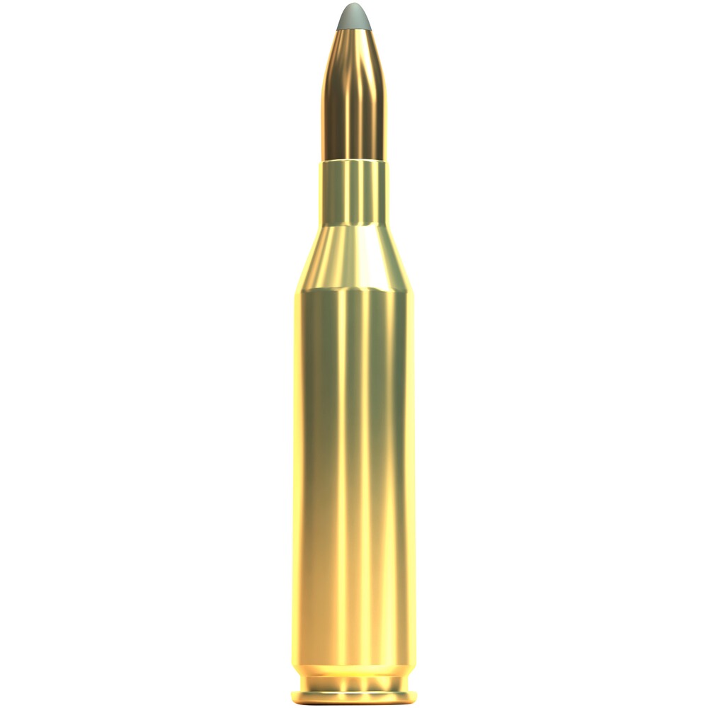 .243 Win., Nosler Partition (6,5gr), Sellier & Bellot