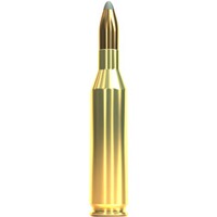 .243 Win., Nosler Partition (6,5gr), Sellier & Bellot