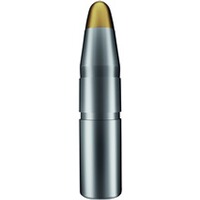 7 mm Rem. Mag. Evolution 10,3g/159grs., RWS