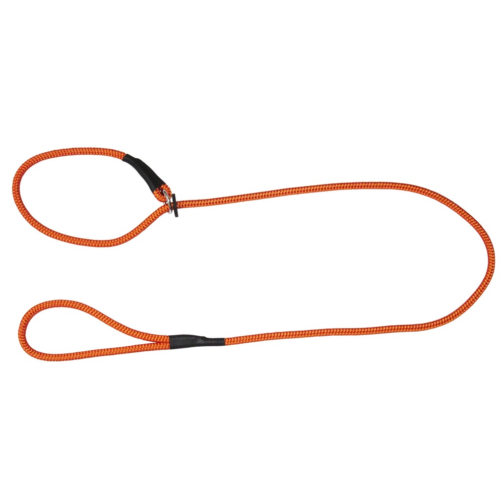 Laisse de conduite Moxon 10mm/150cm