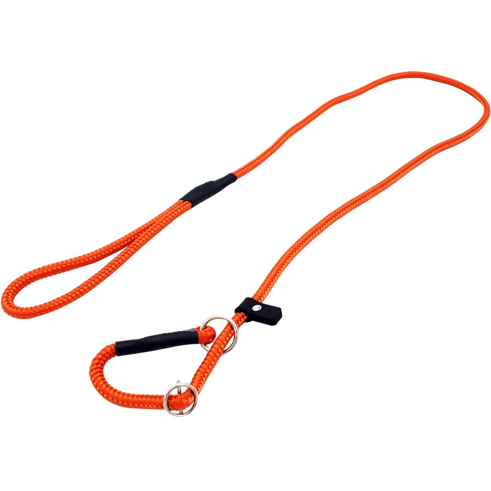 Laisse de conduite Moxon 10mm/150cm