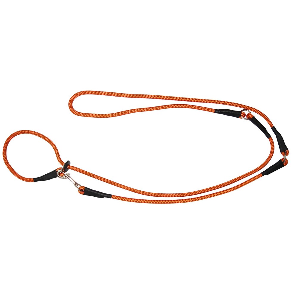 Laisse de conduite Moxon 10mm/200cm