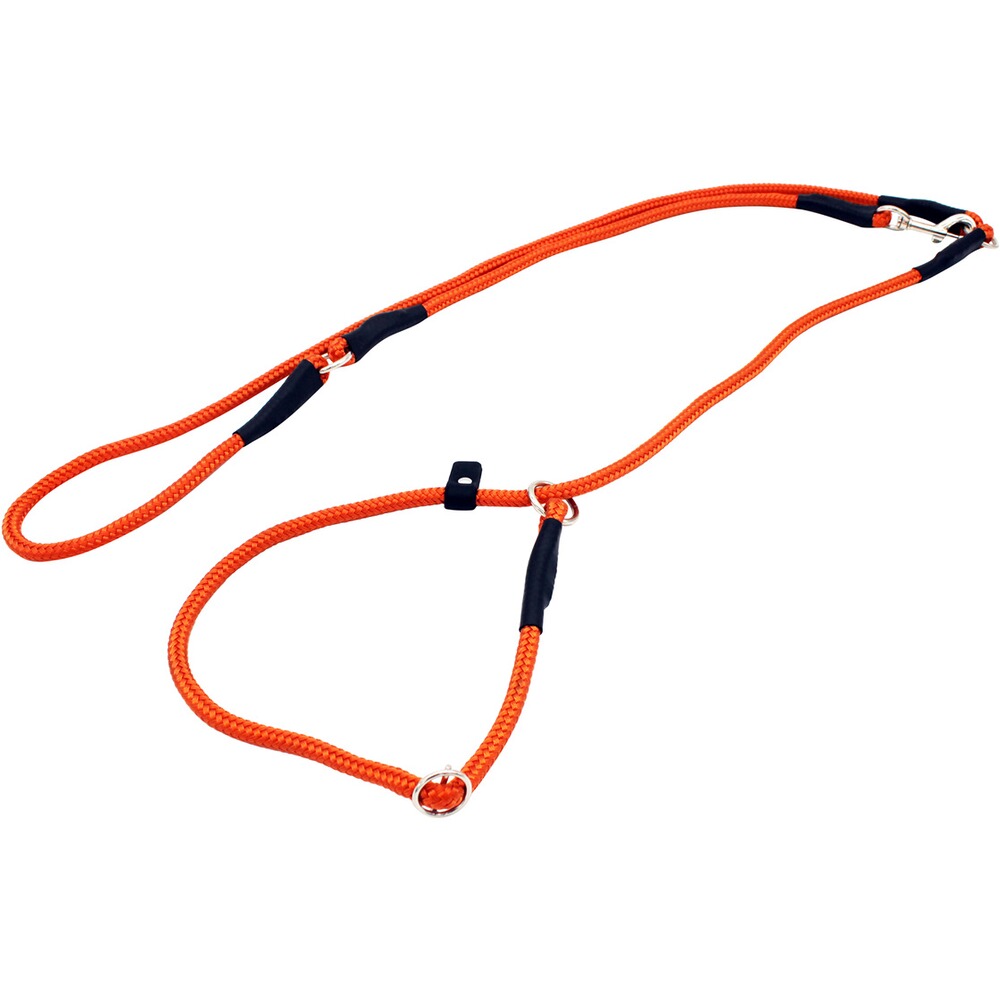 Laisse de conduite Moxon 10mm/200cm