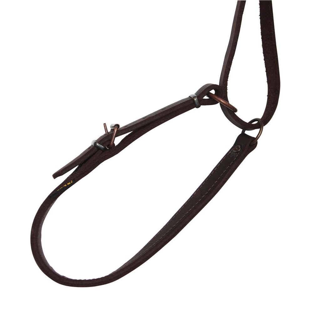 Laisse de conduite, avec collier normal 13mm/65cm , Heim