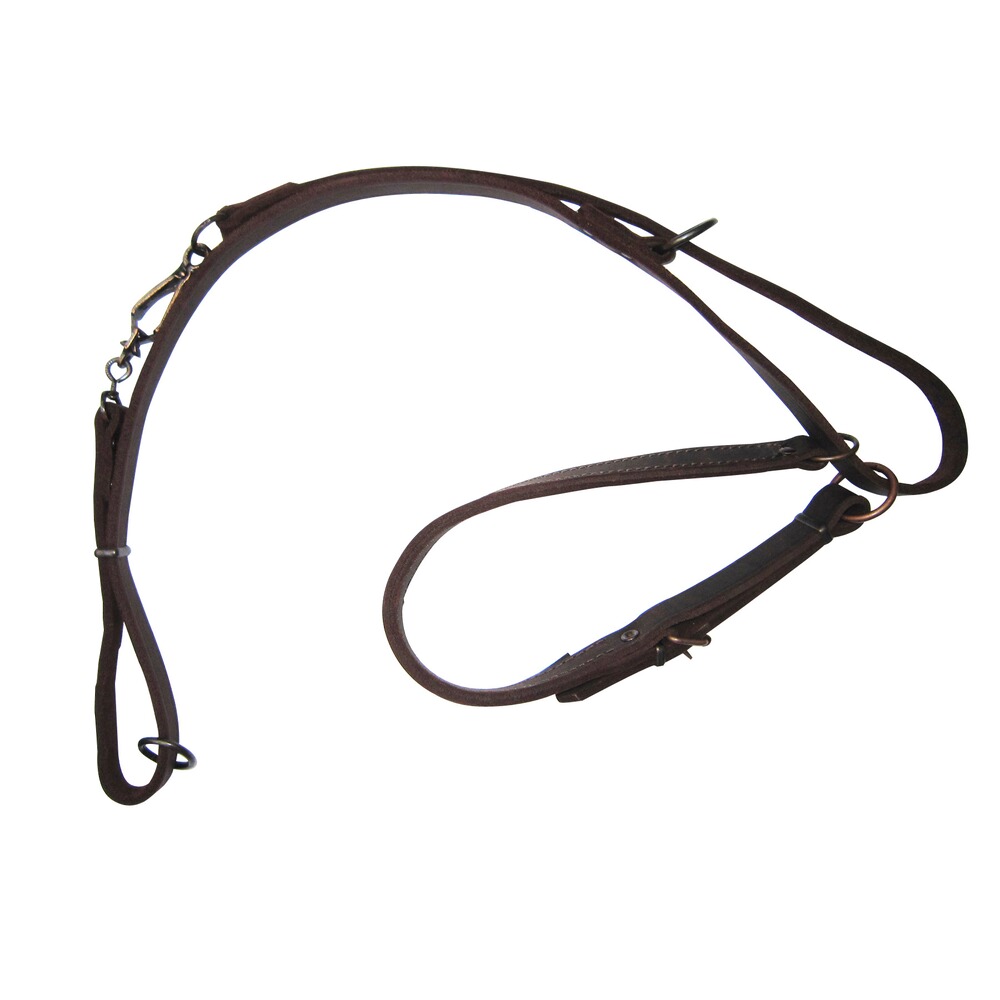Laisse de conduite, avec collier normal 13mm/65cm