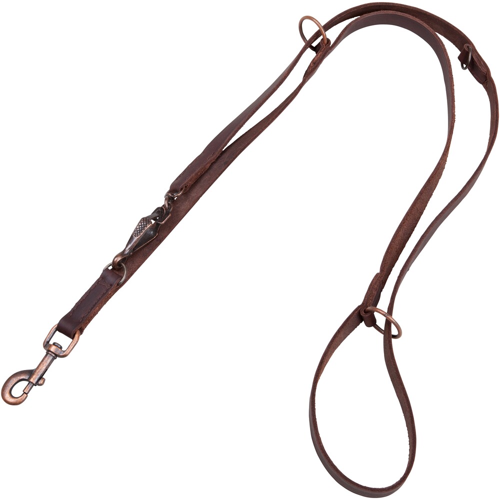 Vorführleine 18mm/220cm Leder braun