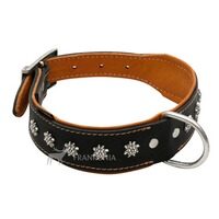 Collier Edelweiß, Heim