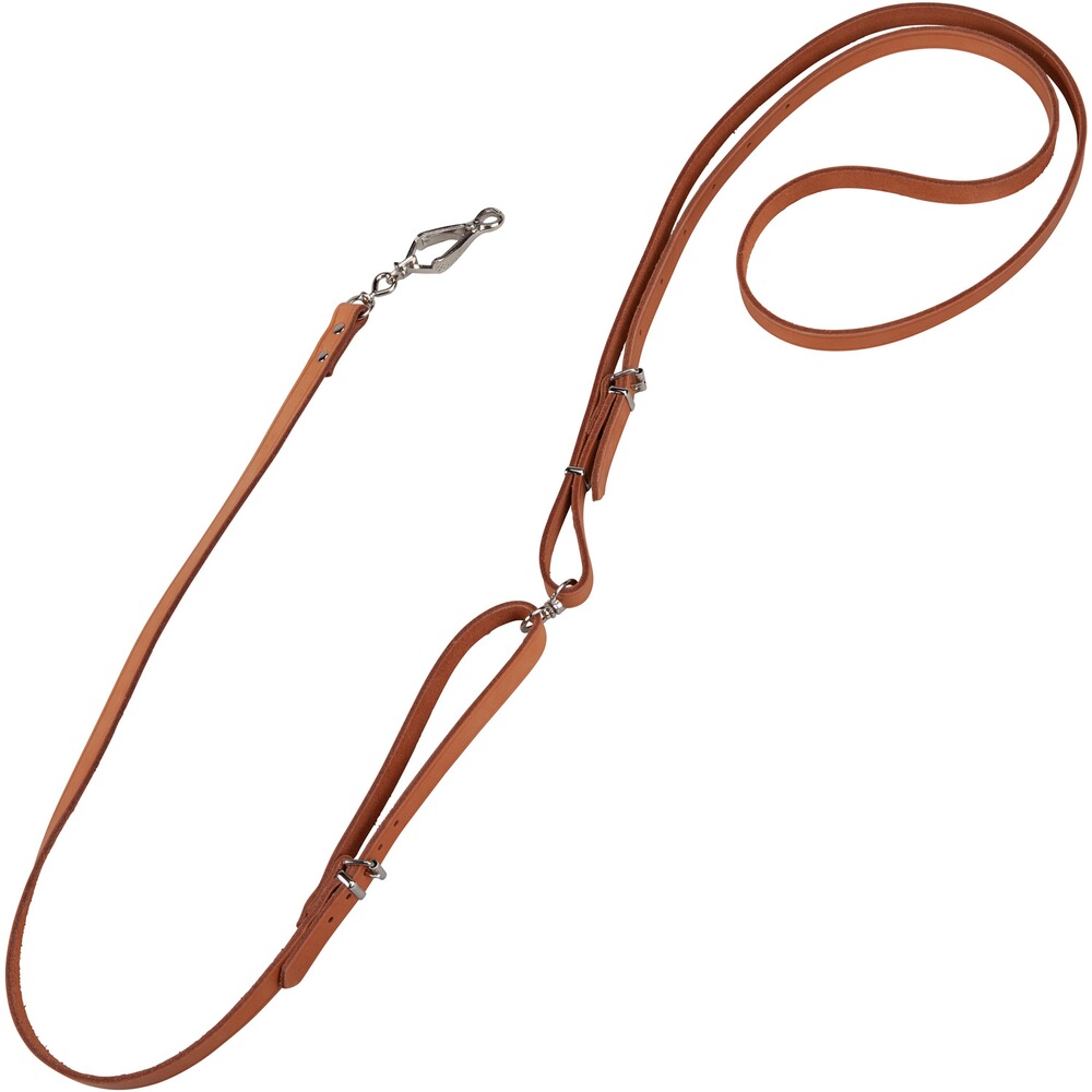 Laisse (1,8m, 10mm)
